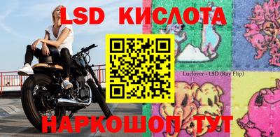a pvp Новодвинск